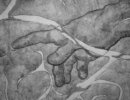 nuovo_sito_claudia_2012003020.jpg